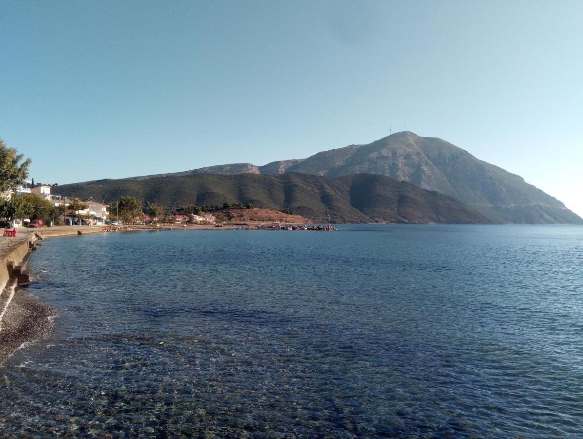 Villa The Platanus Tree Kato Vasiliki Extérieur photo