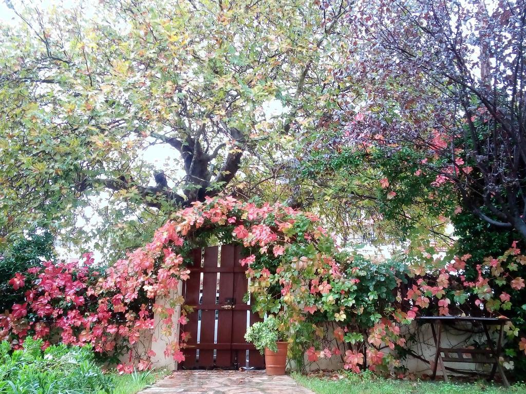 Villa The Platanus Tree Kato Vasiliki Extérieur photo